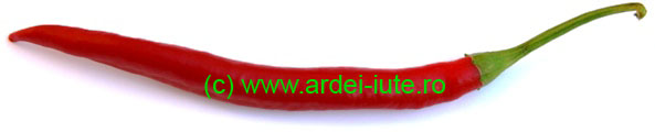 Cayenne
