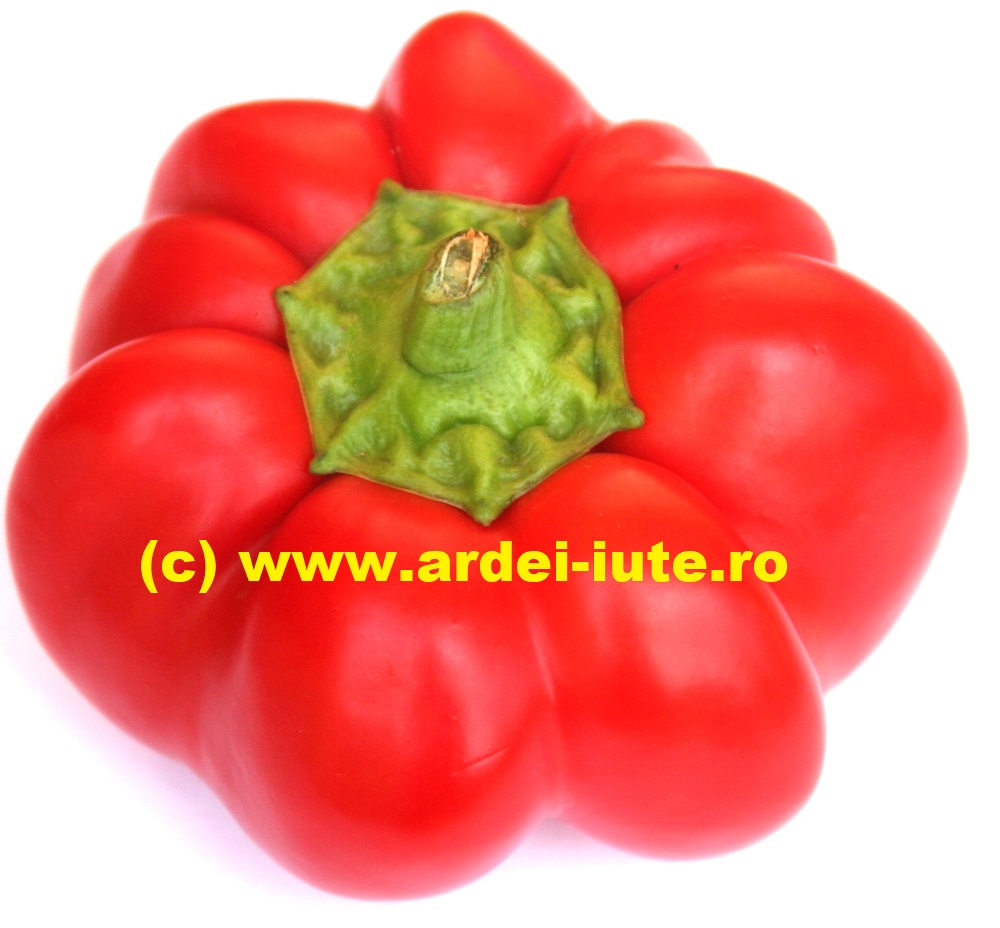 Red Cheese Branza rosie