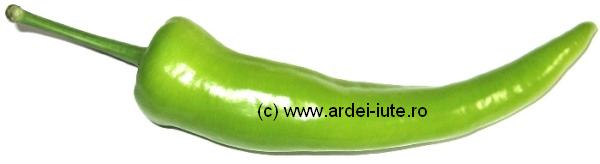 carliston