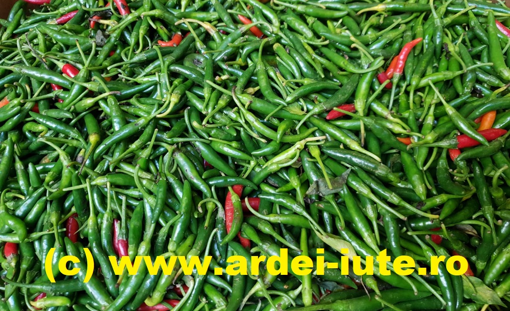 cayenne ardei iute ro 1