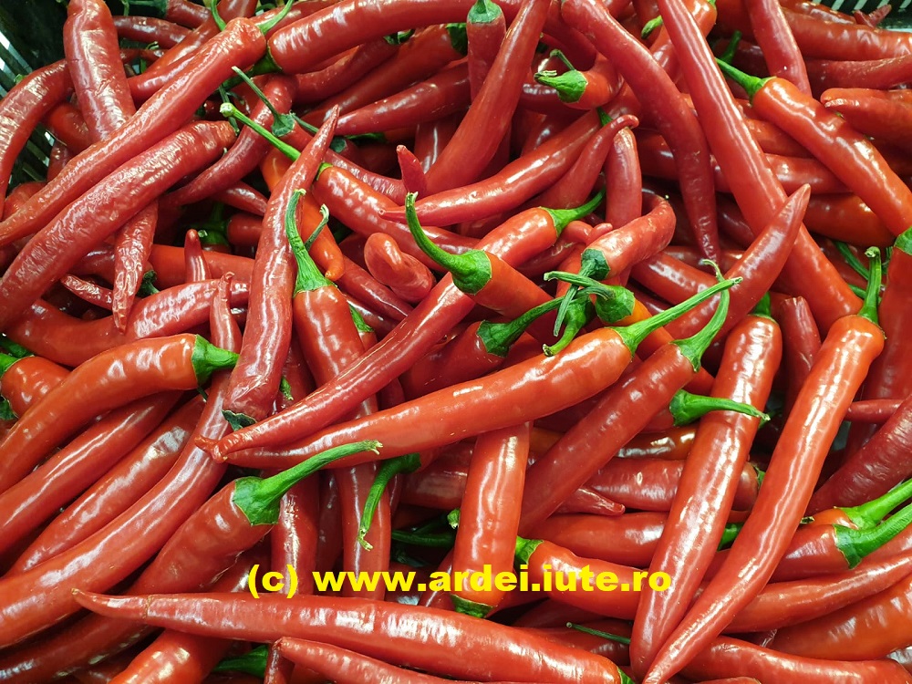 cayenne ardei iute ro
