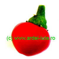 cherry