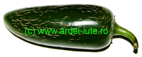 jalapeno