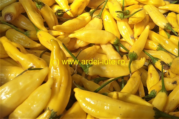 picatura de lamaie lemon drop 1