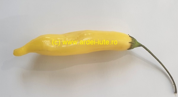picatura de lamaie lemon drop