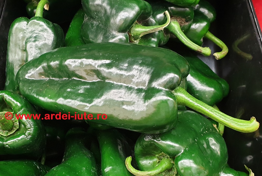 poblano